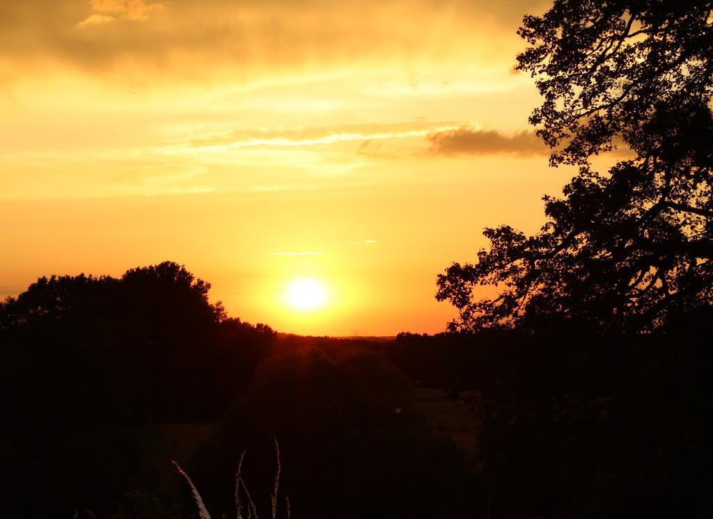 Gites A L'Ombre Des Chenes Chateauvieux  Ruang foto