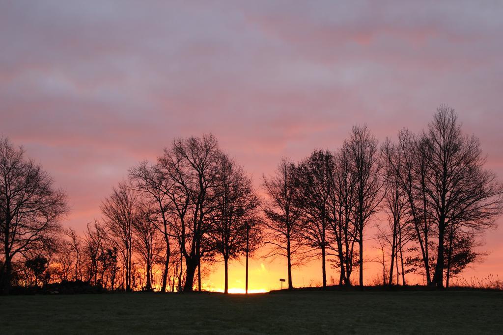 Gites A L'Ombre Des Chenes Chateauvieux  Ruang foto