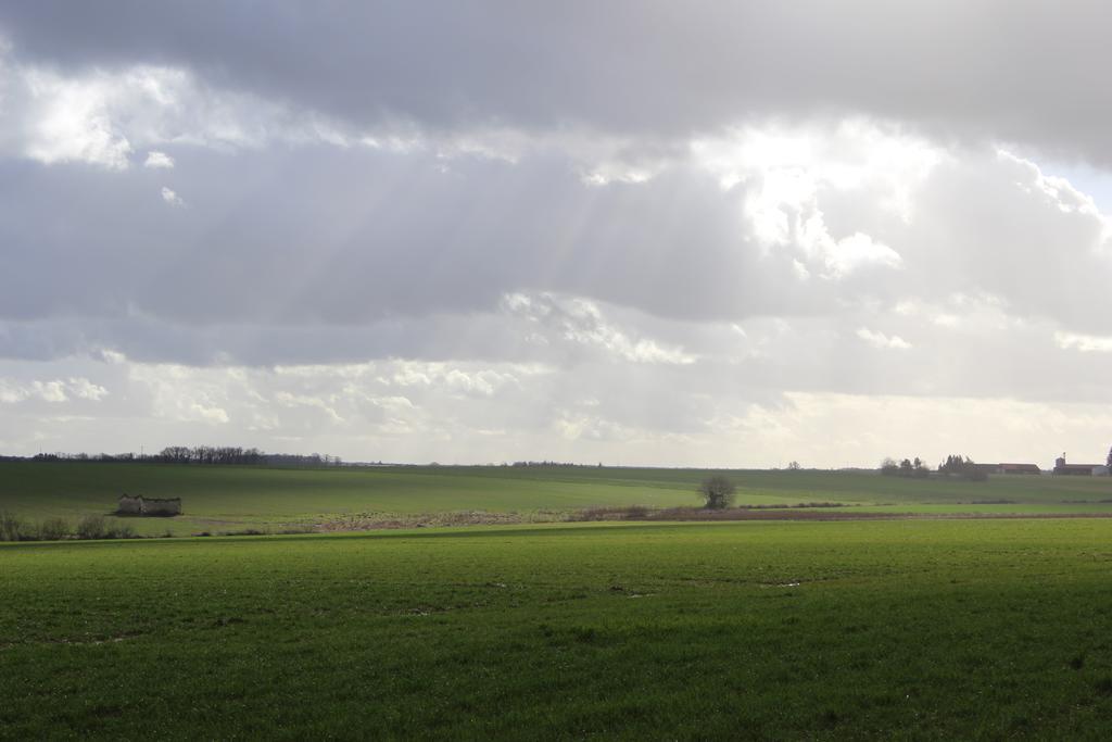 Gites A L'Ombre Des Chenes Chateauvieux  Bagian luar foto