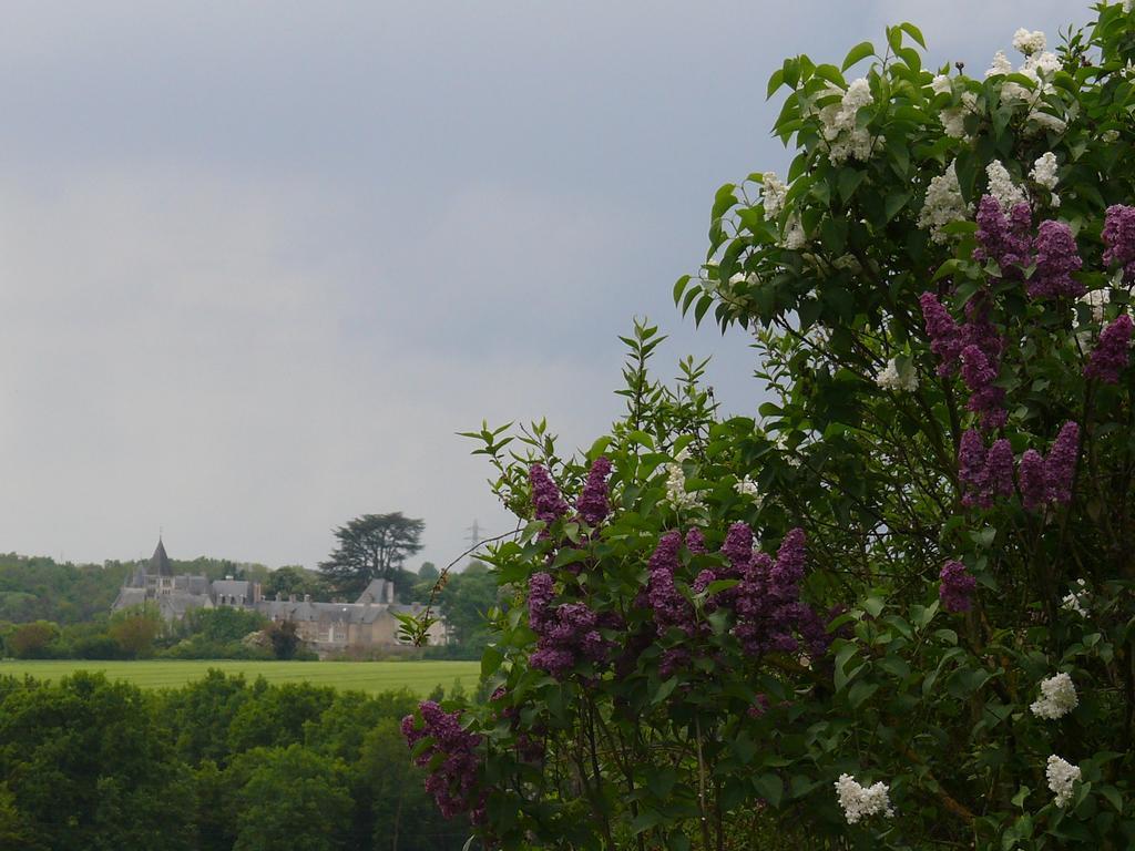 Gites A L'Ombre Des Chenes Chateauvieux  Ruang foto
