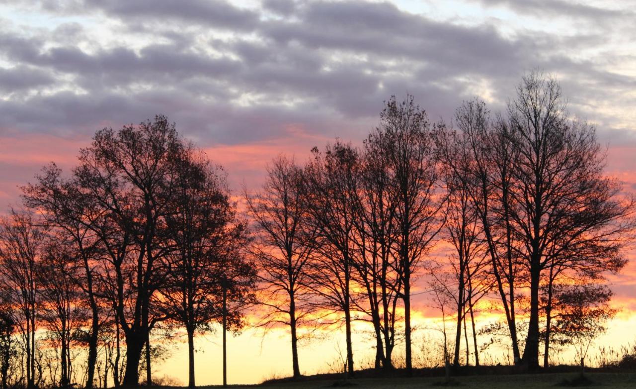 Gites A L'Ombre Des Chenes Chateauvieux  Bagian luar foto
